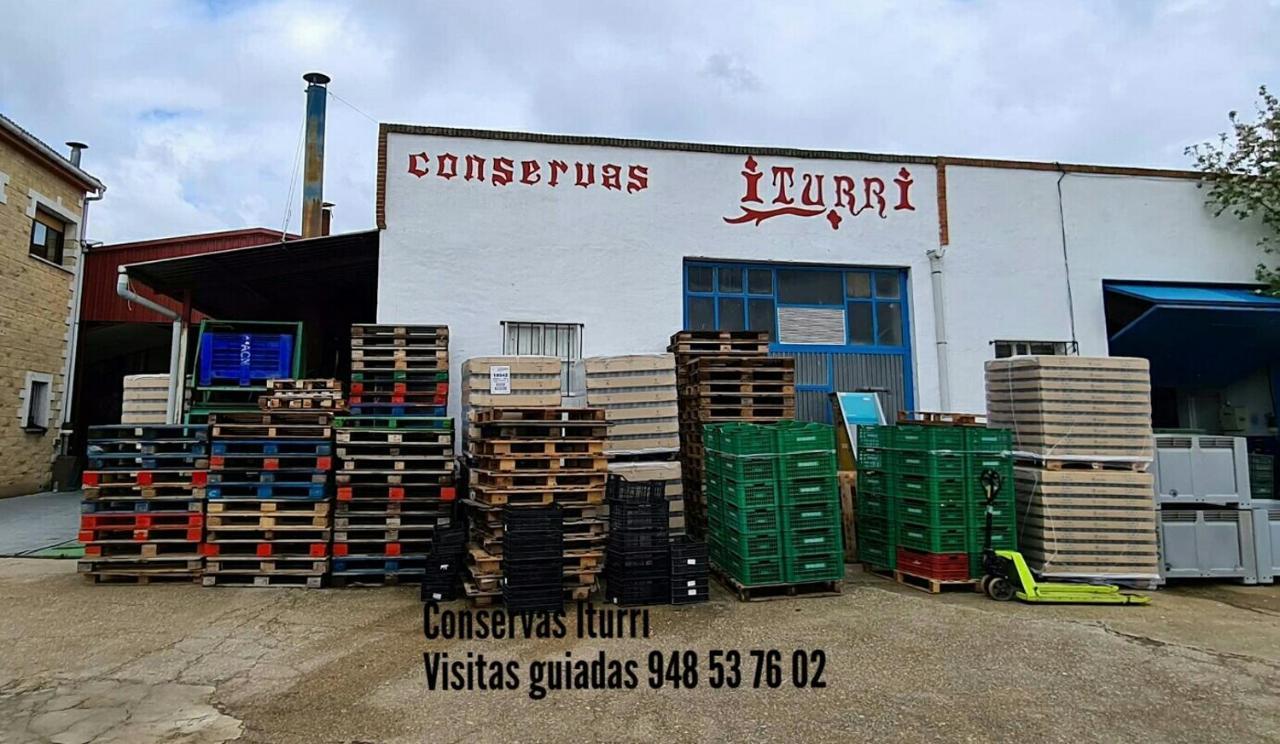 Greta Etxea Villa Arroniz Bagian luar foto